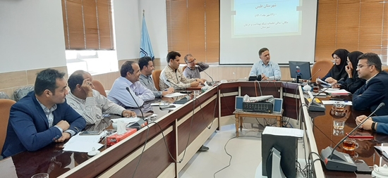 شبکه بهداشت و درمان طبس
