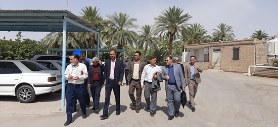 شبکه بهداشت و درمان طبس