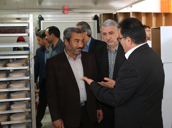 شبكه بهداشت و درمان طبس 