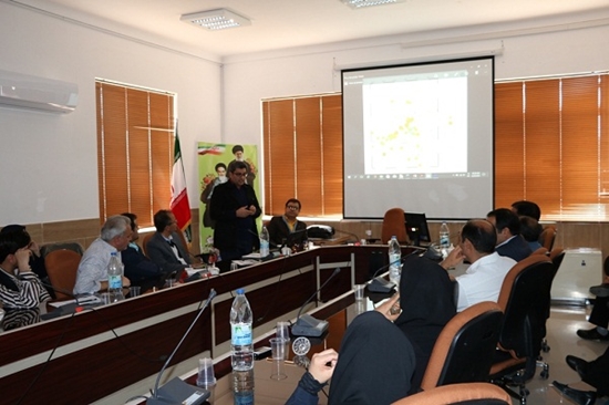 شبكه بهداشت و درمان طبس 
