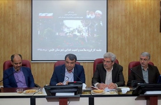 شبکه بهداشت و درمان طبس
