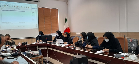 شبکه بهداشت و درمان طبس